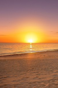 巴塞罗那战胜山东鲁能前进亚冠半决赛