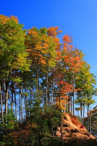 利物浦大比分战胜对手，士气高涨