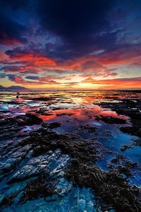 青岛队士气大振，备战季后赛全力以赴