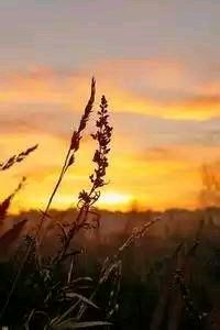 青岛队士气大振，备战季后赛全力以赴