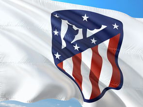 米兰体育app-阿森纳客场战平狼队，保留争夺欧冠资格的可能性，阿森纳vs狼队比赛结果