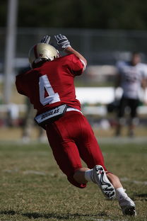 米兰app体育下载-全国青少年跳水大赛首次启用AI裁判辅助，青少年跳水比赛视频  第2张